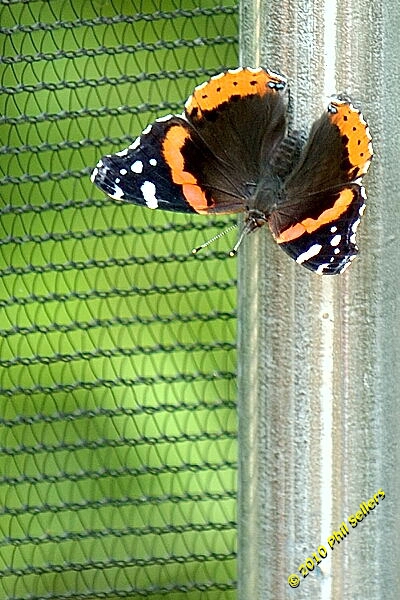 20100606_Bham_Zoo_009.jpg 215.5 KB