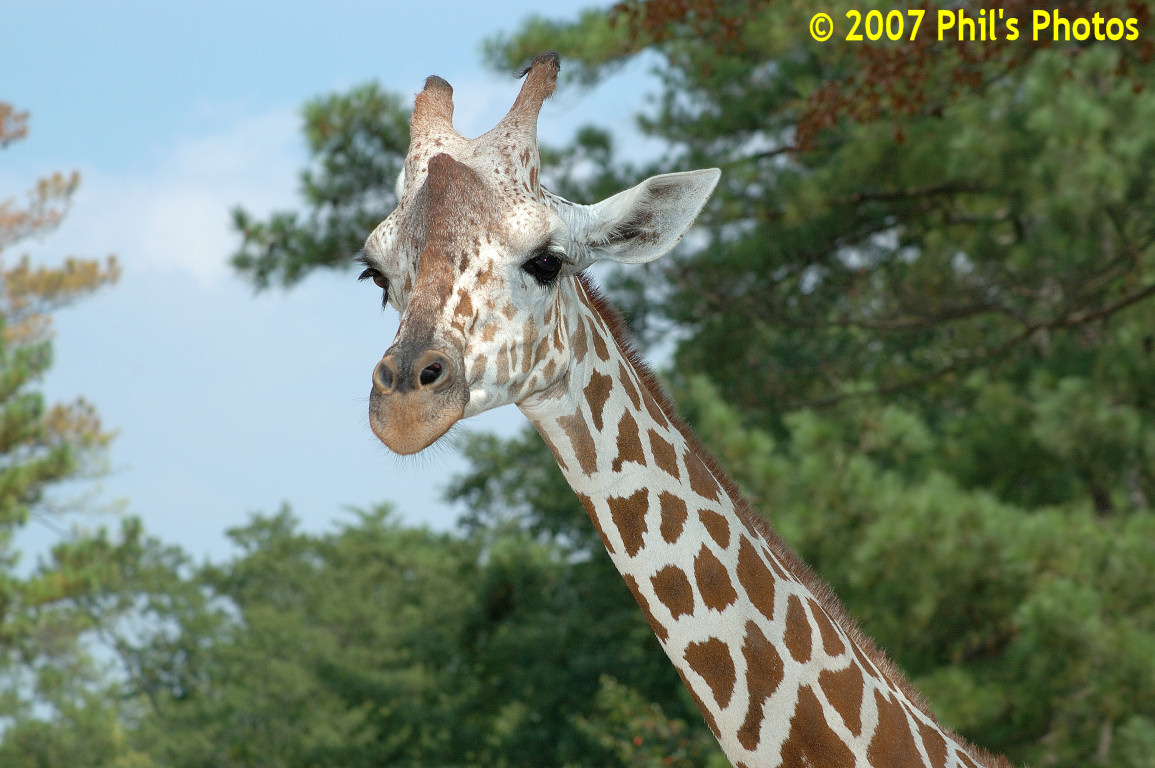 bhamzoo_200609_09.jpg 266.4 KB