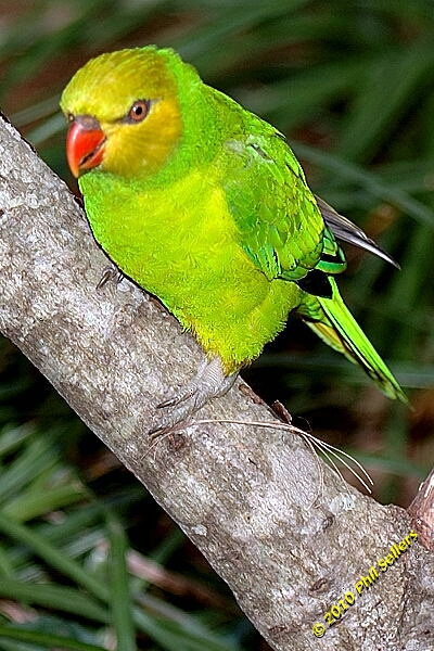 20100606_Bham_Zoo_079.jpg 224.3 KB