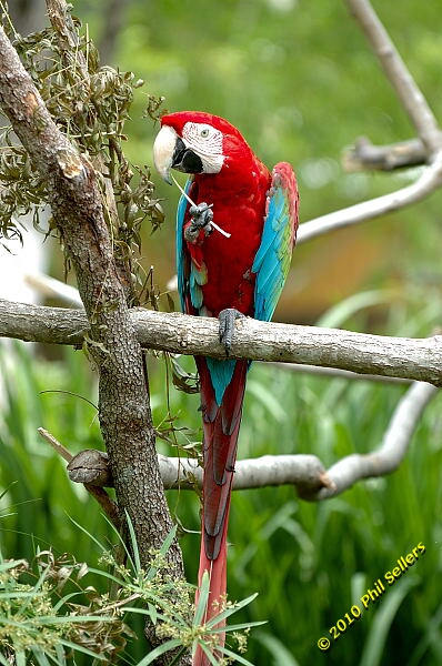 20100606_Bham_Zoo_002.jpg 216.3 KB