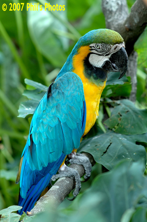 bhamzoo_200609_02.jpg 158.8 KB