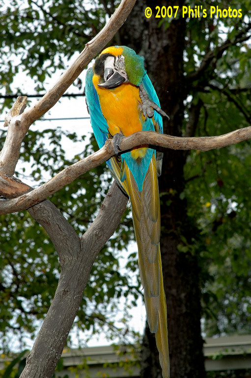 bhamzoo_200609_03.jpg 201.6 KB