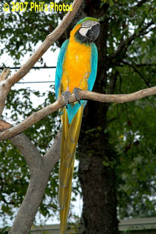 bhamzoo_200609_04.jpg 192.3 KB