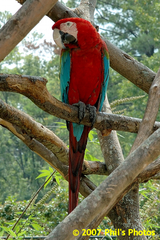 bhamzoo_200609_06.jpg 211.9 KB