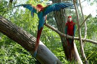 tn_20100606_Bham_Zoo_094.jpg 12.6 KB