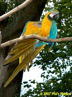 tn_bhamzoo_200609_05 (13K)