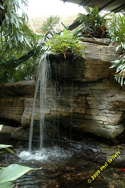 Opryland_Resort_08.jpg 233 KB