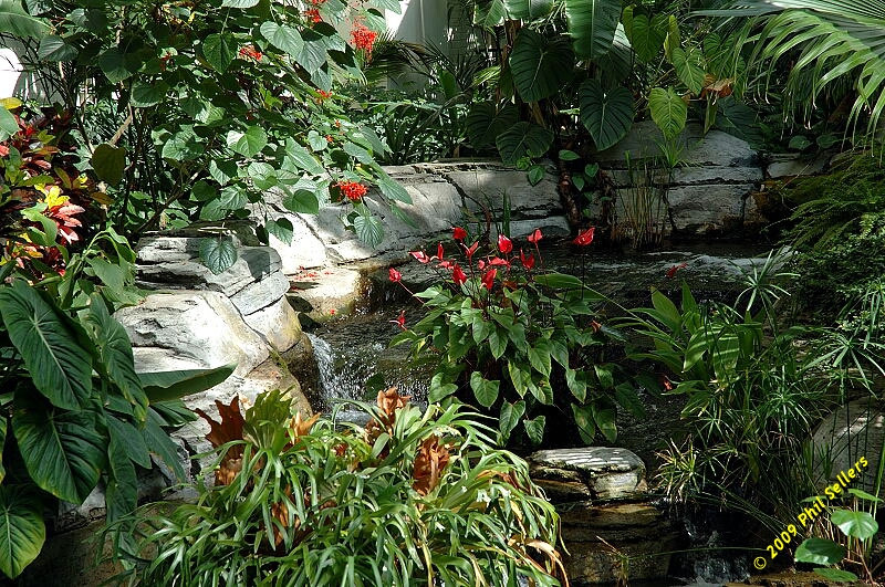 Opryland_Resort_15.jpg 531.4 KB