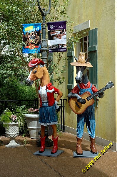 Opryland_Resort_19.jpg 252.7 KB