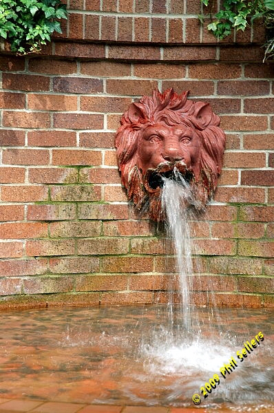 Opryland_Resort_21.jpg 247.7 KB