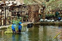 tn_Opryland_Resort_25.jpg 12.9 KB