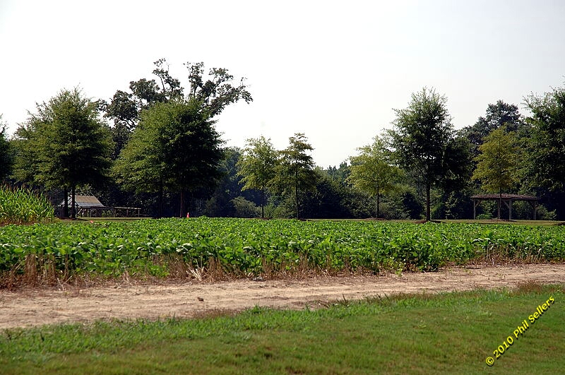 2010_auburn_hike_11.jpg 352.3 KB