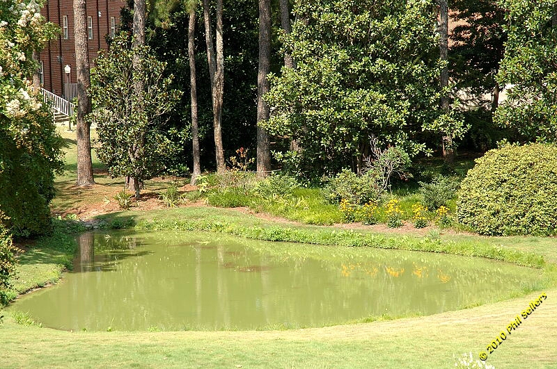 2010_auburn_hike_21.jpg 526 KB