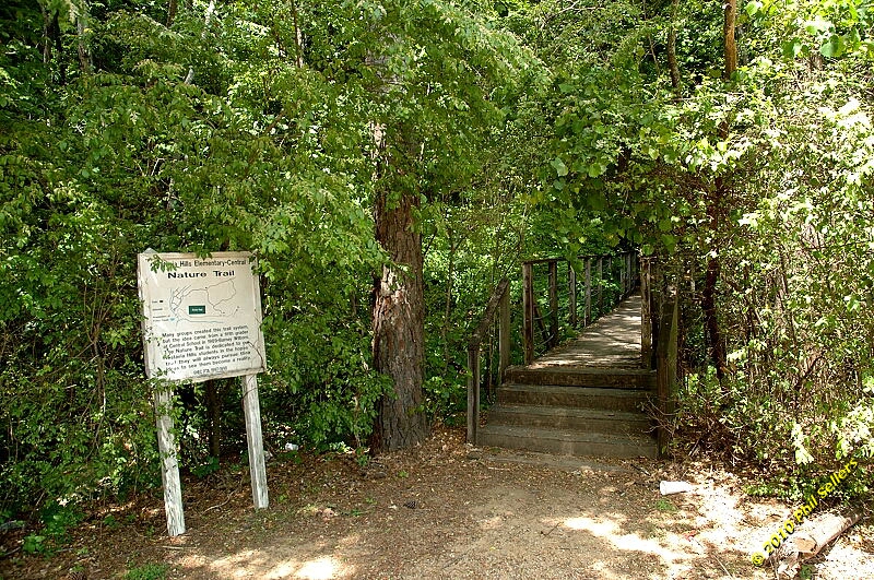 2010_vestavia_trail_04.jpg 616 KB