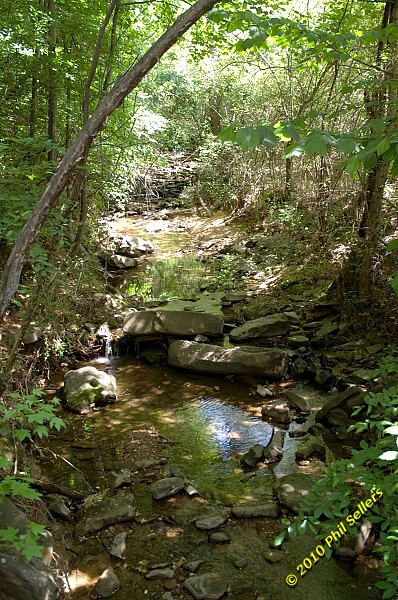 2010_vestavia_trail_06.jpg 287 KB