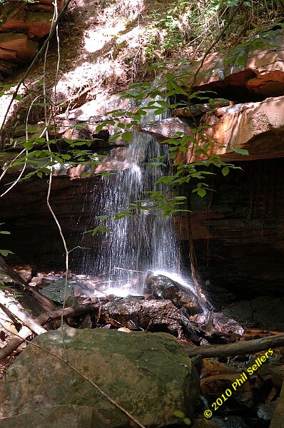 2010_vestavia_trail_07.jpg 246.1 KB