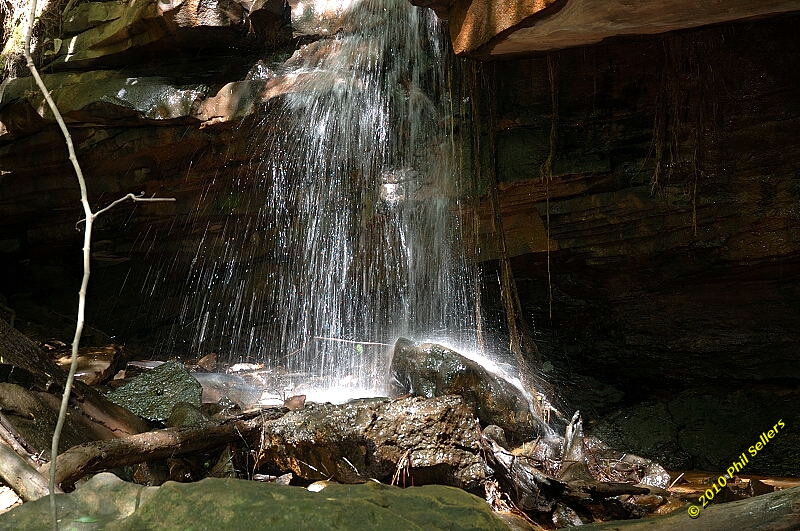 2010_vestavia_trail_10.jpg 389.8 KB