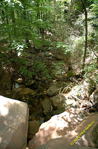 2010_vestavia_trail_14.jpg 284.6 KB