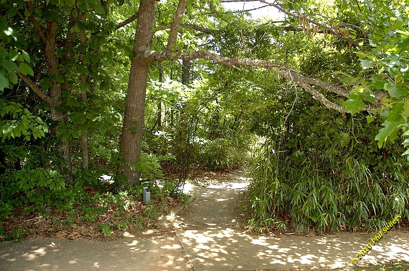 2010_vestavia_trail_22.jpg 560.2 KB