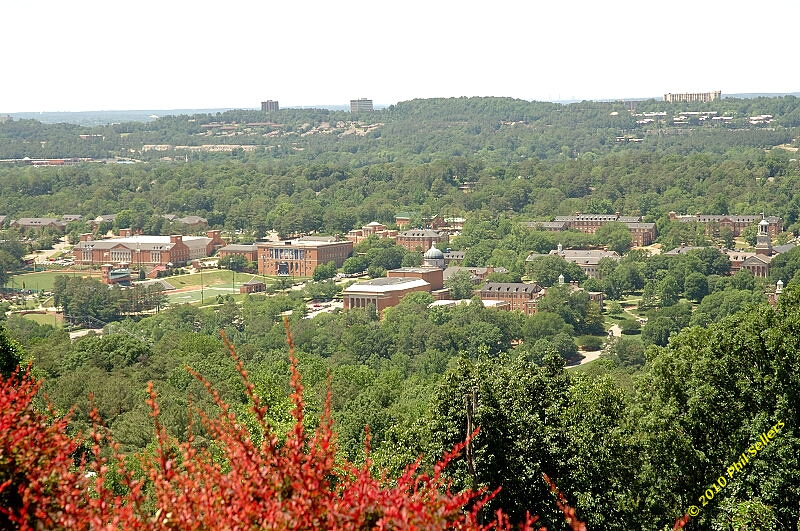 2010_vestavia_trail_34.jpg 440 KB