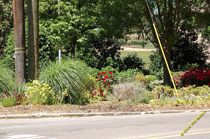 2010_vestavia_trail_37.jpg 575.2 KB
