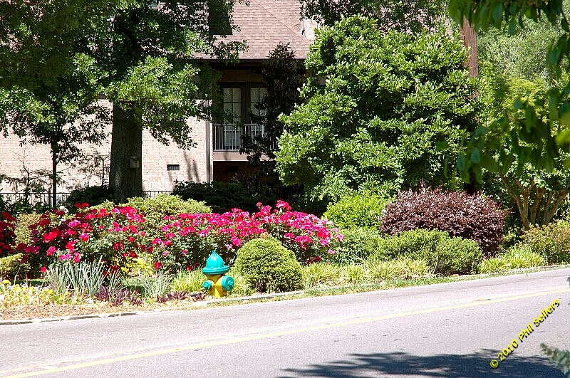 2010_vestavia_trail_38.jpg 573.5 KB
