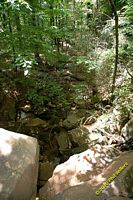 tn_2010_vestavia_trail_14.jpg 12.1 KB