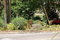 tn_2010_vestavia_trail_37.jpg 11.4 KB