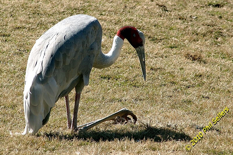 image_07.jpg 538.8 KB