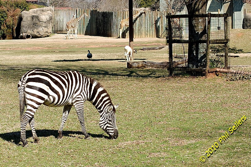 image_22.jpg 587.3 KB