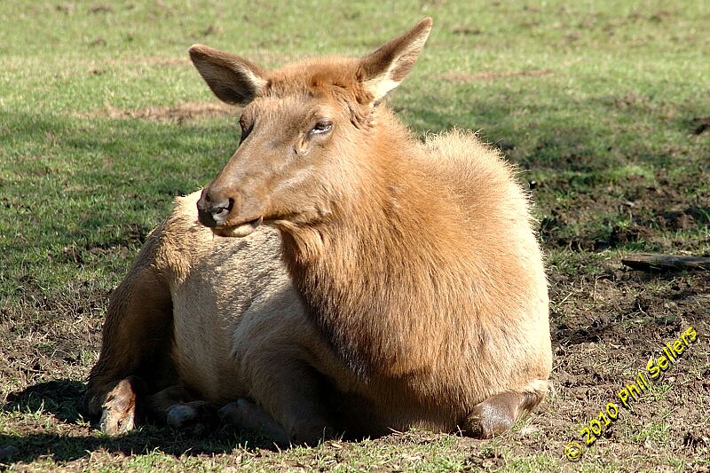 image_28.jpg 424.2 KB