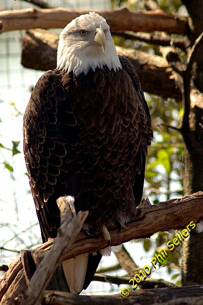 image_33.jpg 187.2 KB