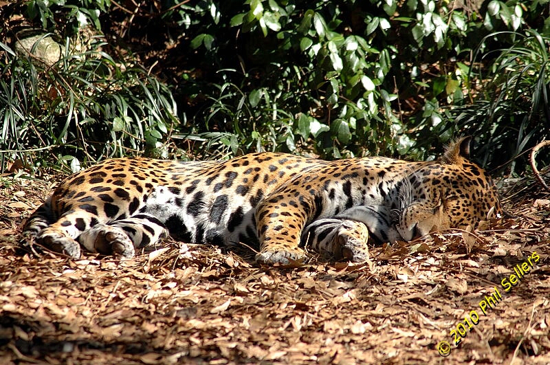 image_35.jpg 502.2 KB