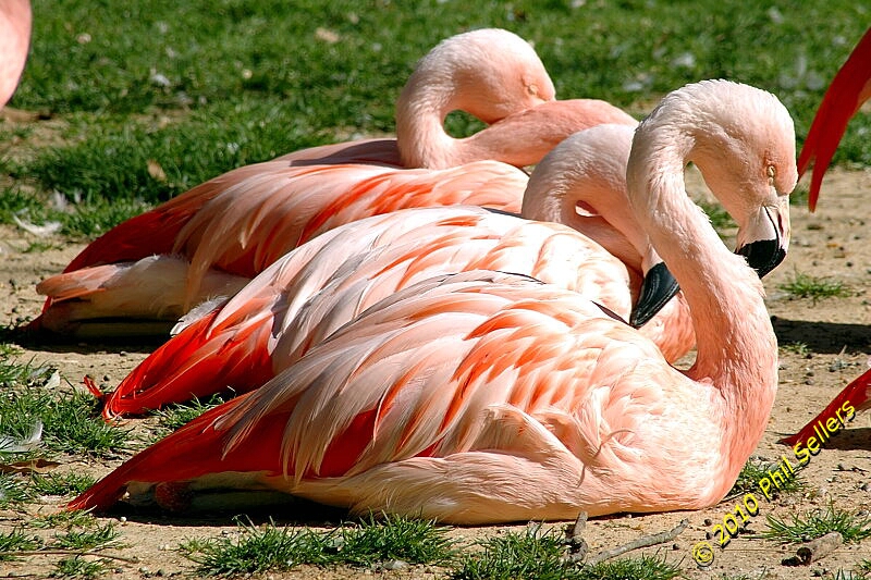 image_36.jpg 405.3 KB