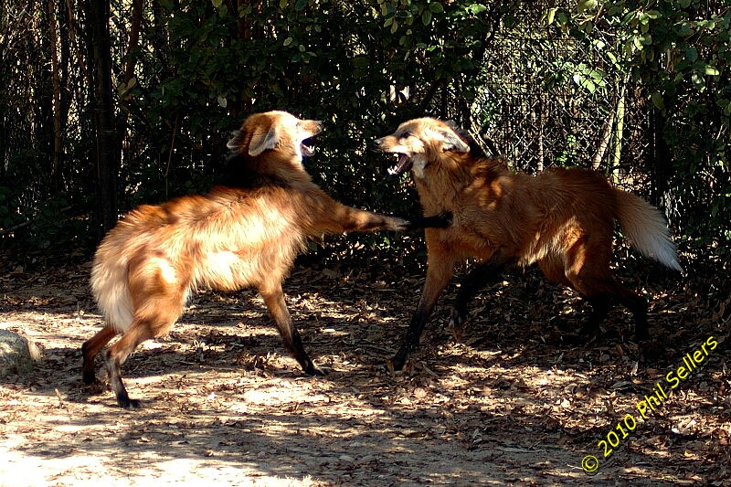 image_41.jpg 498.7 KB