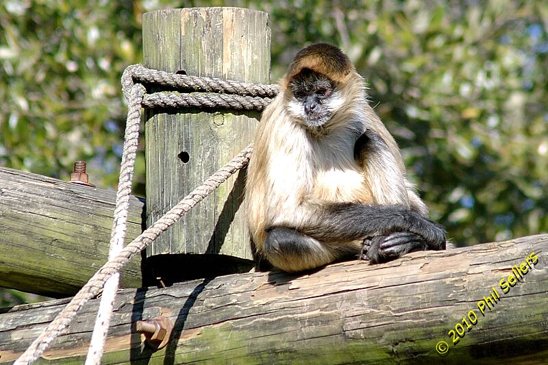 image_52.jpg 365.5 KB