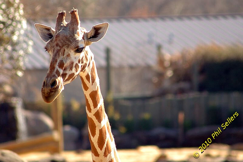 image_58.jpg 243.2 KB