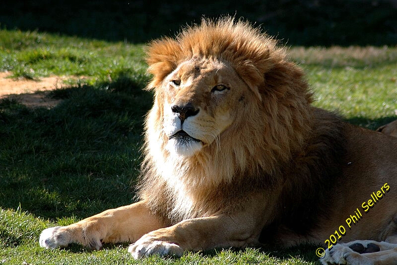 image_63.jpg 331.1 KB