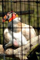 tn_image_55.jpg 10 KB