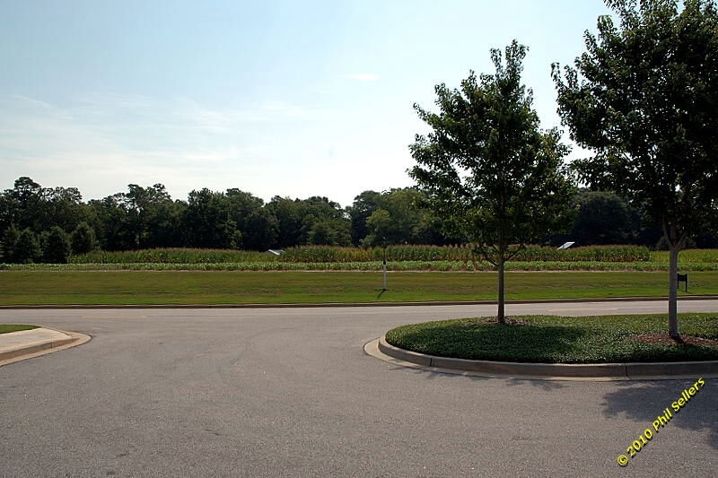 2010_auburn_hike_09.jpg 282.2 KB