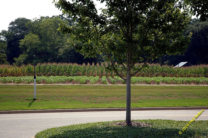 2010_auburn_hike_10.jpg 474.4 KB