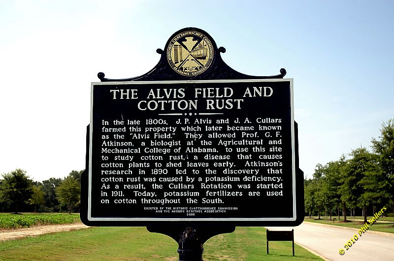 2010_auburn_hike_12.jpg 277.9 KB