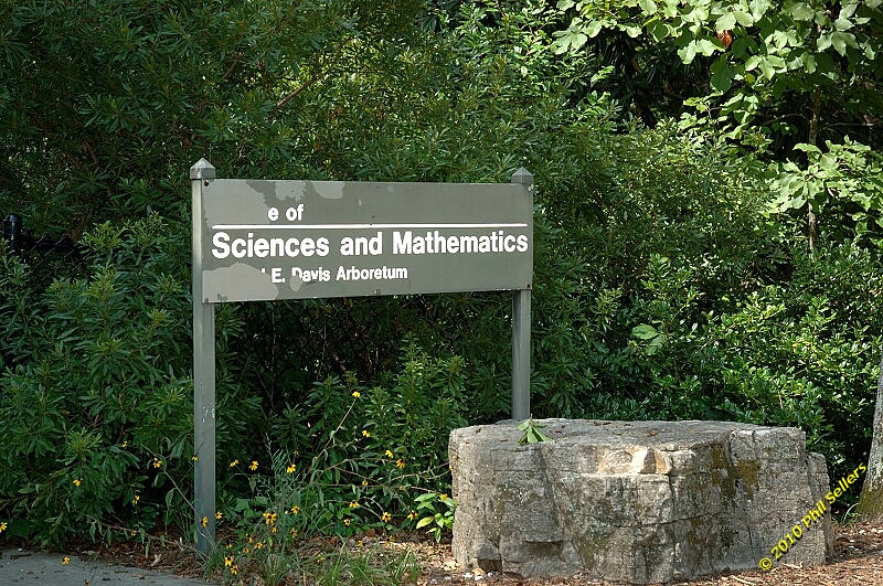 2010_auburn_hike_14.jpg 527.4 KB