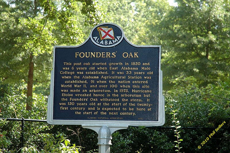 2010_auburn_hike_15.jpg 425 KB