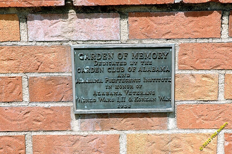 2010_auburn_hike_19.jpg 501.4 KB