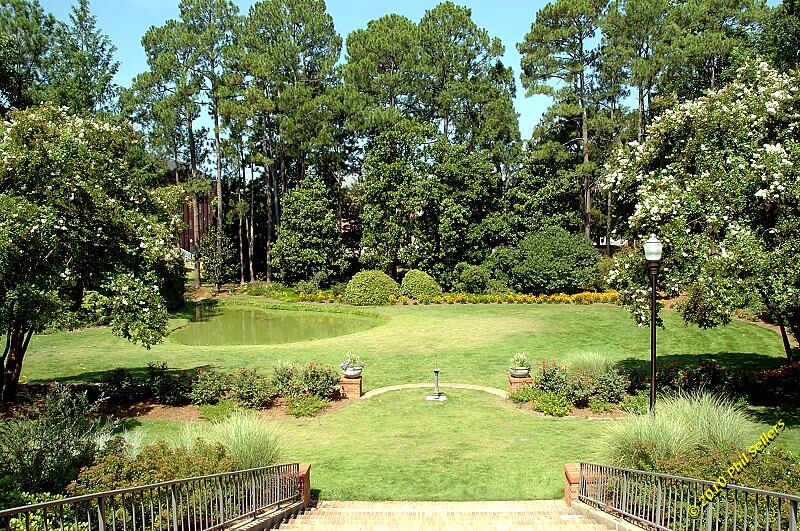 2010_auburn_hike_20.jpg 602 KB