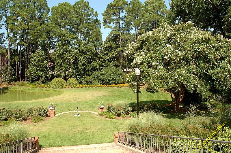 2010_auburn_hike_22.jpg 590.3 KB