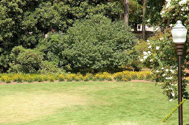 2010_auburn_hike_23.jpg 583.7 KB