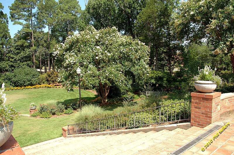 2010_auburn_hike_24.jpg 581.3 KB