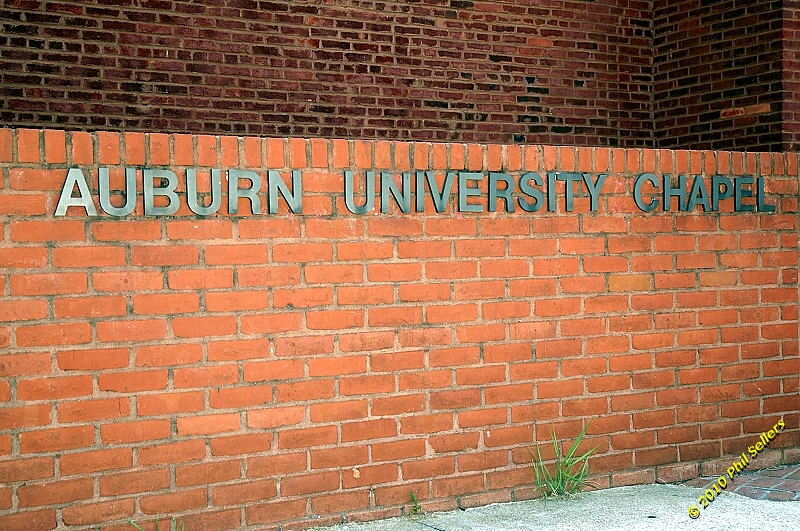 2010_auburn_hike_39.jpg 421.6 KB